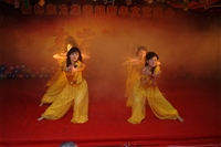 2009ӭӡͿ衷